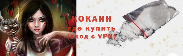 стаф Кулебаки