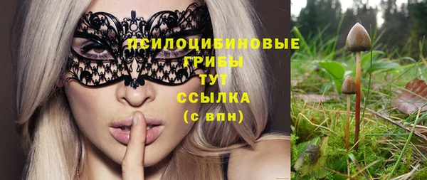 стаф Кулебаки