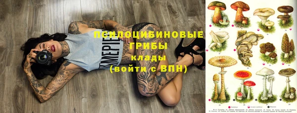 стаф Кулебаки