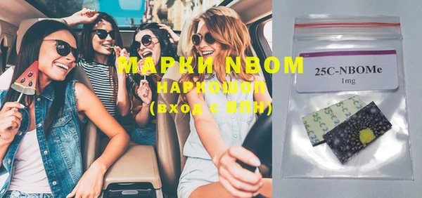 стаф Кулебаки