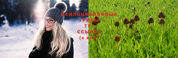 марихуана Куйбышев