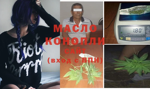 стаф Кулебаки
