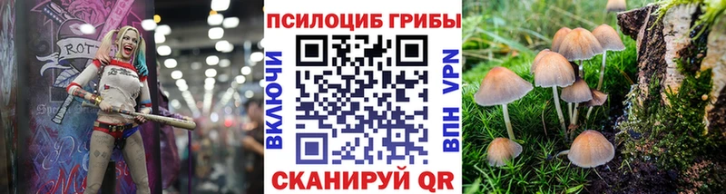 Псилоцибиновые грибы ЛСД  Пойковский 